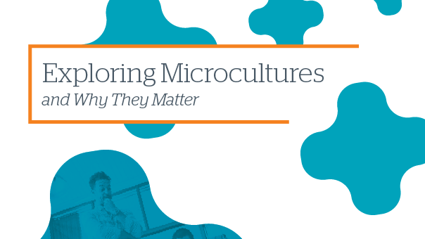 The cover to 2017's Exploring Microcultures and Why They Matter